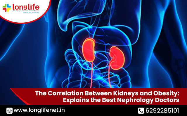 The Correlation Between Kidneys and Obesity: Explains the Best Nephrology Doctors