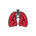 Lungs